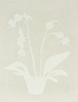 PA iris fossier 00004