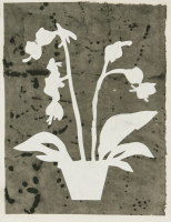 PA iris fossier 00008