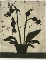 PA iris fossier 00009