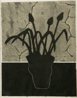 PA iris fossier 00010