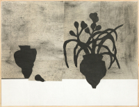 PA iris fossier 00022